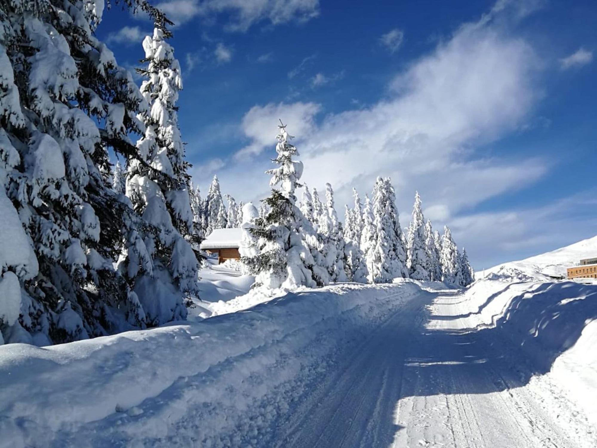 Flat South Of Kitzb Hel With Nationalparkcard Apartment Hollersbach im Pinzgau Ngoại thất bức ảnh